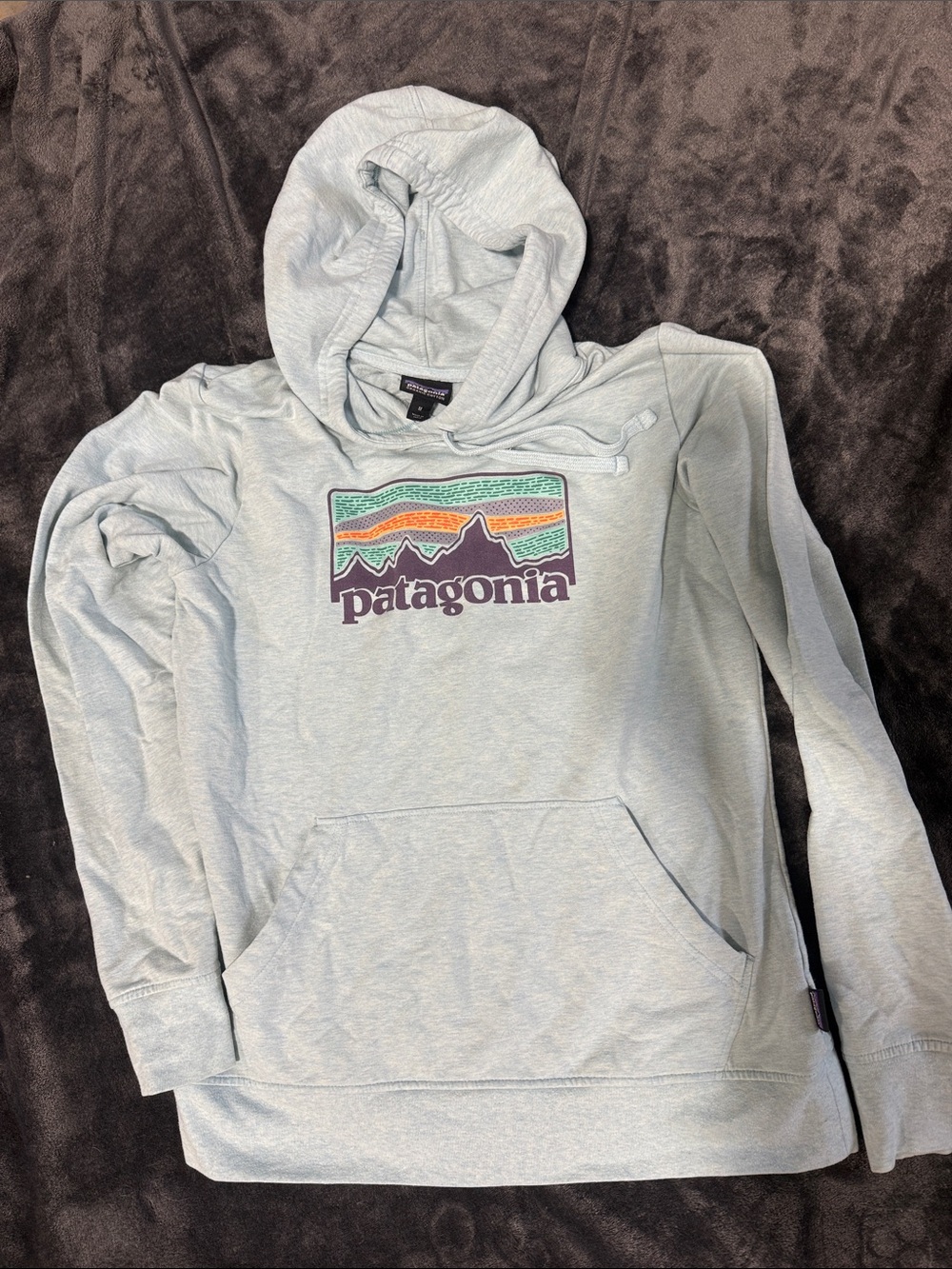 Patagonia Light Blue Pullover Hoodie with Multicolor Logo